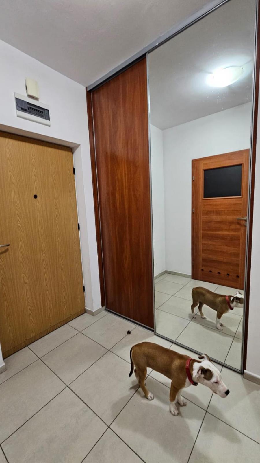 Apartament Lipinskiego Cracovia Esterno foto