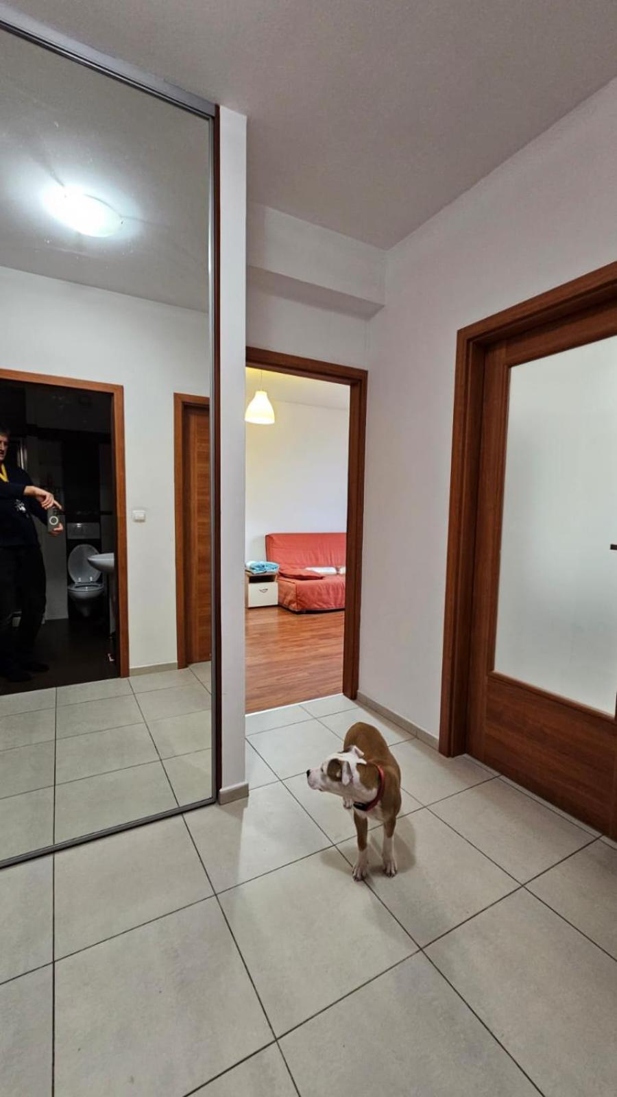 Apartament Lipinskiego Cracovia Esterno foto
