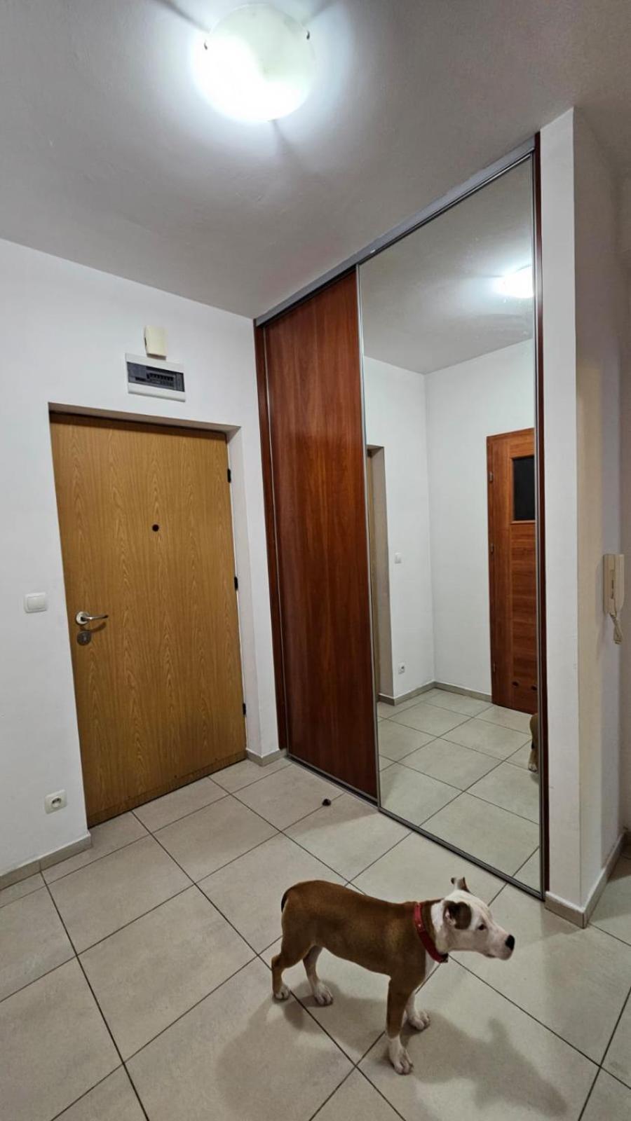 Apartament Lipinskiego Cracovia Esterno foto